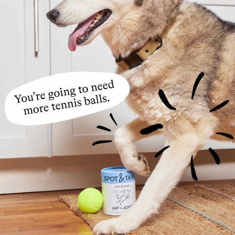 SPOT & TANGO - Spot & Tango Hip + Joint Supplement for Dogs 56 Masticables - The Red Vitamin MX - Cuidado De Cadera Y Articulaciones Para Perros - {{ shop.shopifyCountryName }}