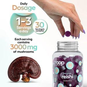 TROOP - Troop Reishi Mushroom Gummies 60 Gomitas - The Red Vitamin MX - Suplementos Alimenticios - {{ shop.shopifyCountryName }}
