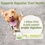 FOUR PAWS - Four Paws Healthy Promise Pre and Probiotics for Dogs Soft Chews 90 Masticables - The Red Vitamin MX - Probióticos Para Perros - {{ shop.shopifyCountryName }}