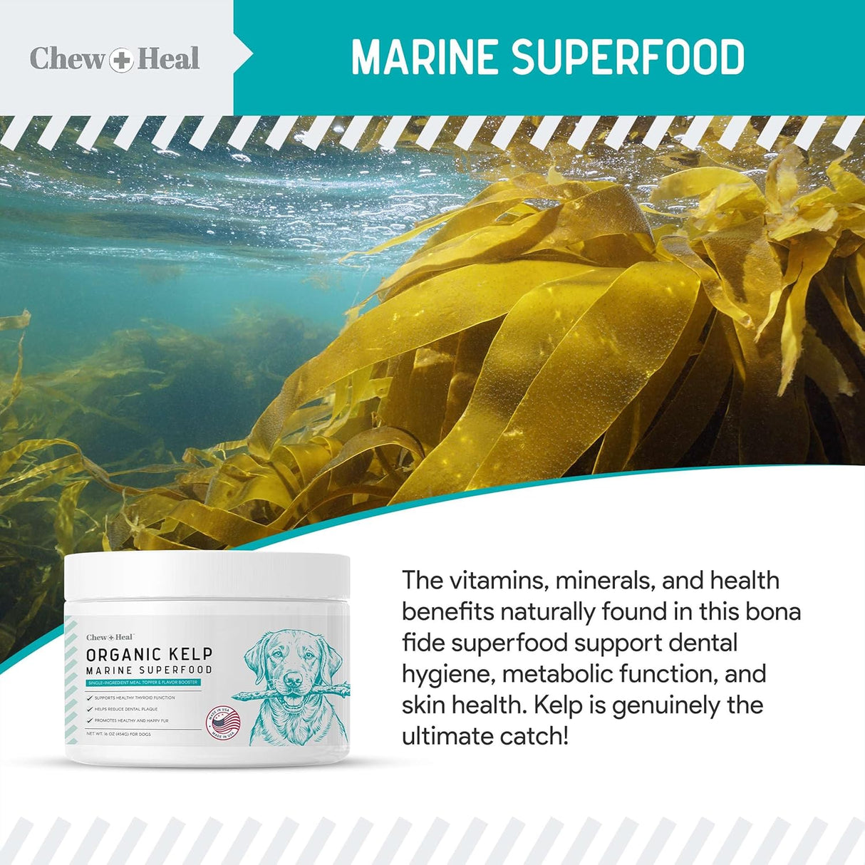 CHEW + HEAL - Chew + Heal Labs Kelp Supplement for Dogs 16 Oz. - The Red Vitamin MX - Suplementos Herbales Para Perros - {{ shop.shopifyCountryName }}