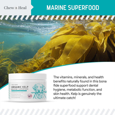 CHEW + HEAL - Chew + Heal Labs Kelp Supplement for Dogs 16 Oz. - The Red Vitamin MX - Suplementos Herbales Para Perros - {{ shop.shopifyCountryName }}
