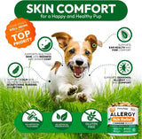 PETSOLOGY - Petsology Dog Allergy Relief Chews 170 Masticables - The Red Vitamin MX - Remedios Para La Picazón De Perros - {{ shop.shopifyCountryName }}