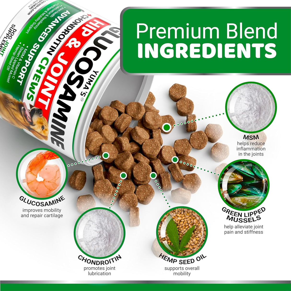 YUMA'S Glucosamine for Dogs Hip and Joint Supplement 170 Masticables