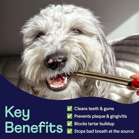 FINN - Finn Plaque Patrol Dental Chews Medium/Large Dogs, 25+ lbs 425Gr. - The Red Vitamin MX - Cuidado Dental Para Perros - {{ shop.shopifyCountryName }}