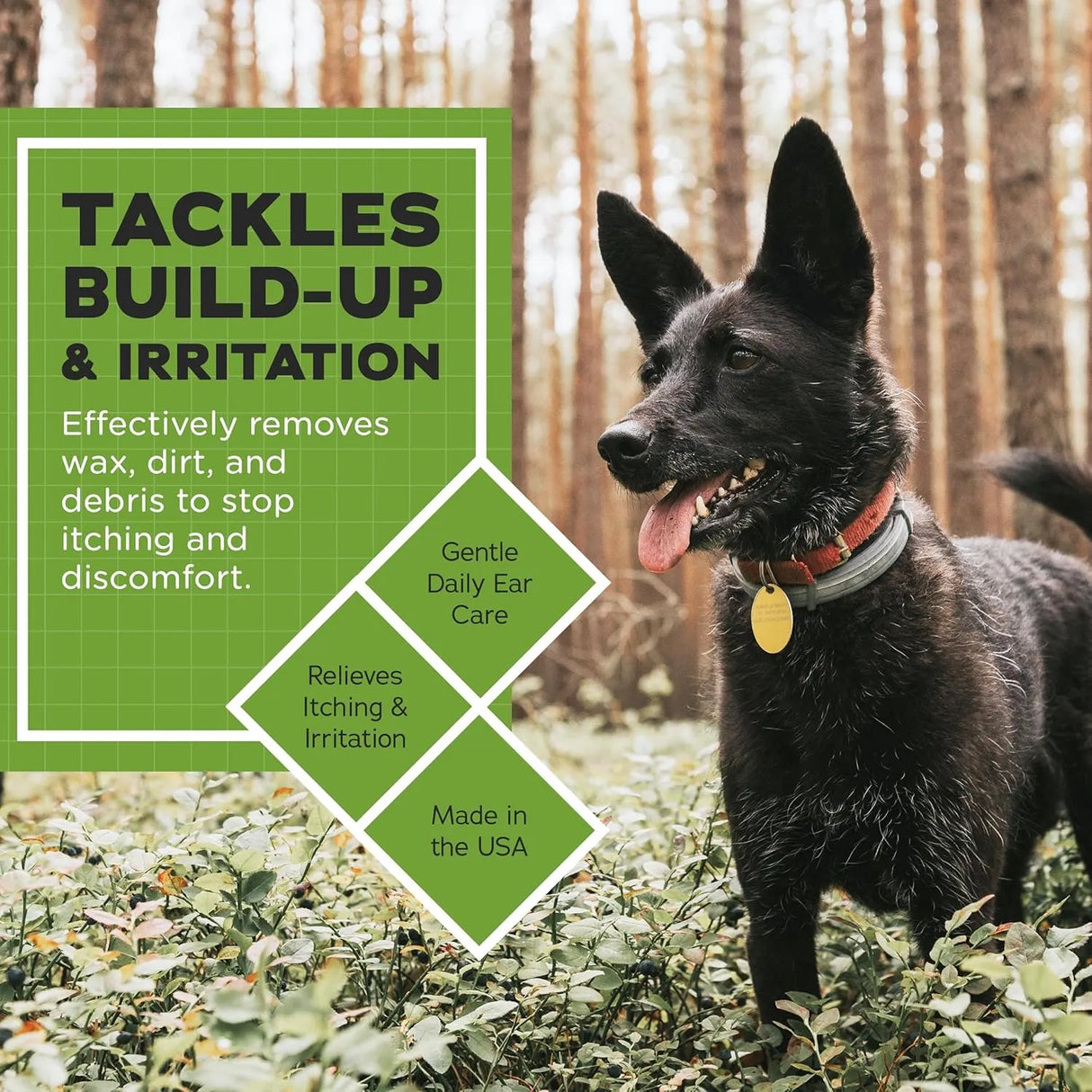 VETWELL - VetWELL Ear Cleaner for Dogs and Cats Cucumber Melon 8 Fl.Oz. - The Red Vitamin MX - Cuidado Del Oído De Perros - {{ shop.shopifyCountryName }}