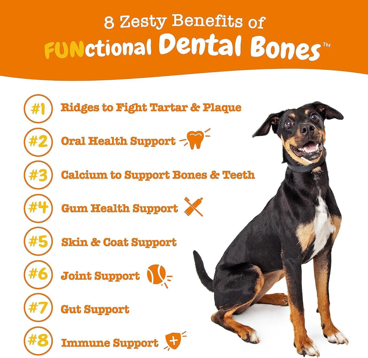 ZESTY PAWS - Zesty Paws Dental Bones Large Dogs 24 Piezas - The Red Vitamin MX - Cuidado Dental Para Perros - {{ shop.shopifyCountryName }}