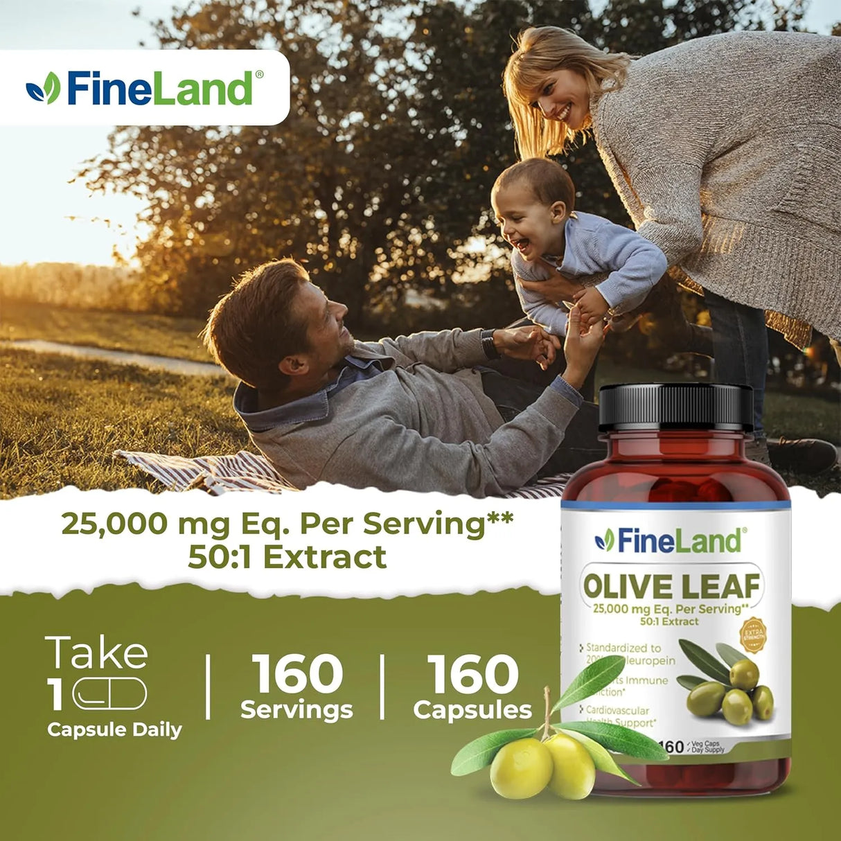 FINELAND - FineLand Olive Leaf 50x Extract 25,000Mg. 160 Capsulas - The Red Vitamin MX - Suplementos Alimenticios - {{ shop.shopifyCountryName }}