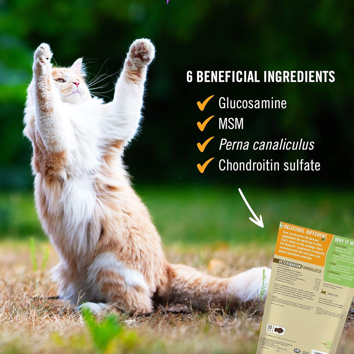 Pet Naturals Hip and Joint Support Supplement for Cats 30 Masticables
