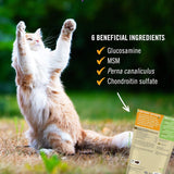 Pet Naturals Hip and Joint Support Supplement for Cats 30 Masticables