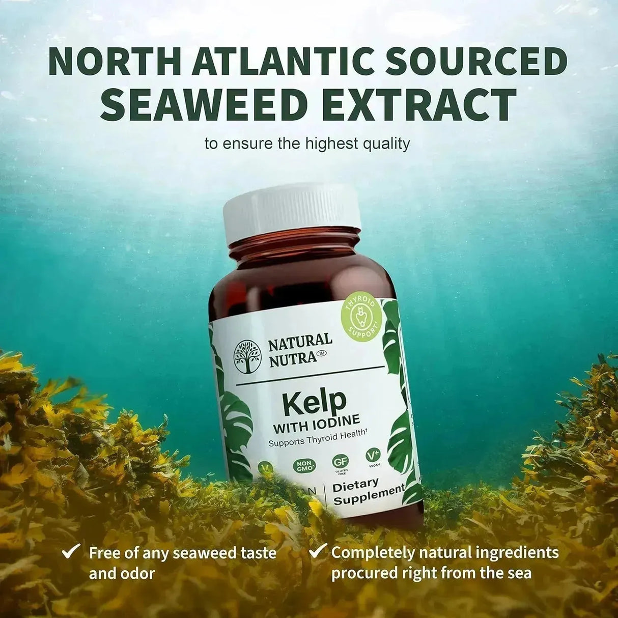 NATURAL NUTRA - Natural Nutra Kelp Iodine 100 Tabletas - The Red Vitamin MX - Suplementos Alimenticios - {{ shop.shopifyCountryName }}