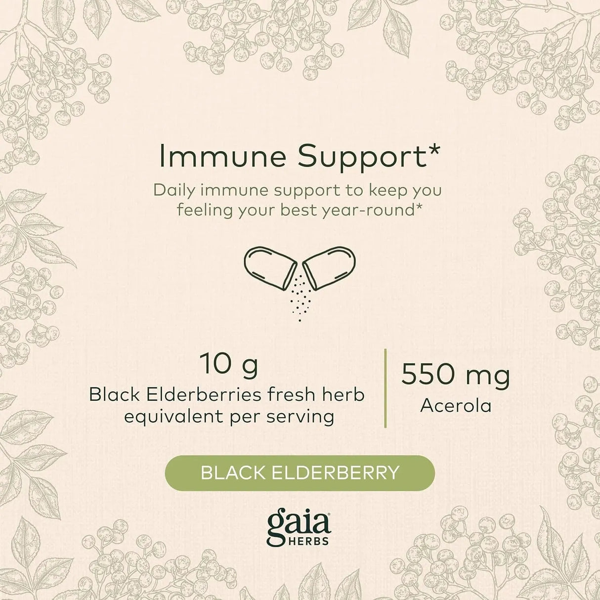 GAIA HERBS - Gaia Herbs Black Elderberry 60 Capsulas - The Red Vitamin MX - Suplementos Alimenticios - {{ shop.shopifyCountryName }}