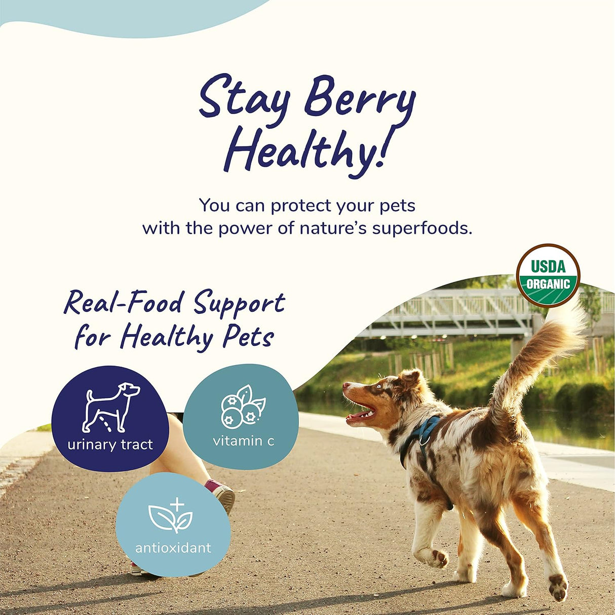 kin+kind Healthy Immunity Dog Supplement Powder 226Gr.