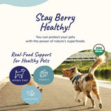 kin+kind Healthy Immunity Dog Supplement Powder 113Gr.