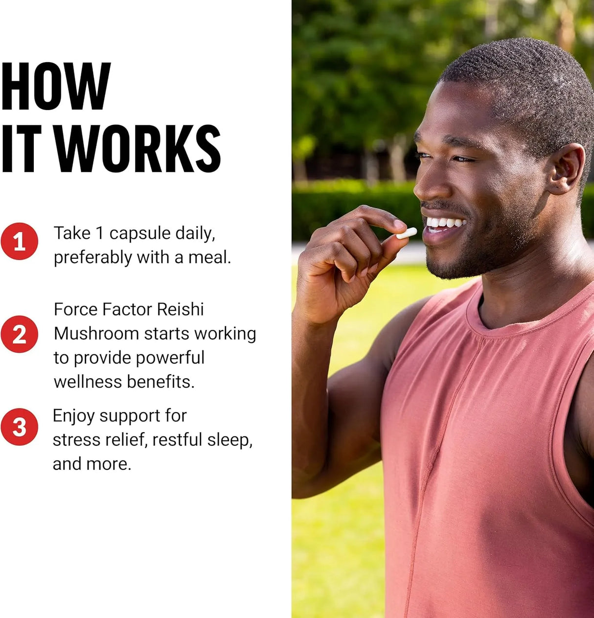 FORCE FACTOR - Force Factor Reishi Mushroom 600Mg. 100 Capsulas - The Red Vitamin MX - Suplementos Alimenticios - {{ shop.shopifyCountryName }}