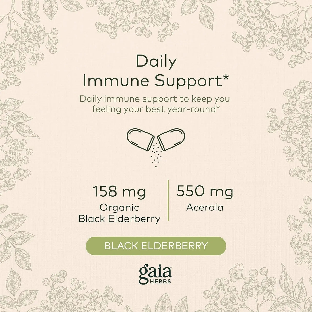 GAIA HERBS - Gaia Herbs Black Elderberry 120 Capsulas - The Red Vitamin MX - Suplementos Alimenticios - {{ shop.shopifyCountryName }}