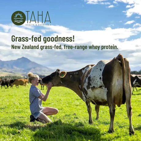 TAHA - Taha New Zealand Grass-Fed Whey Protein Concentrate Powder Chocolate 907Gr. - The Red Vitamin MX - Suplementos Alimenticios - {{ shop.shopifyCountryName }}