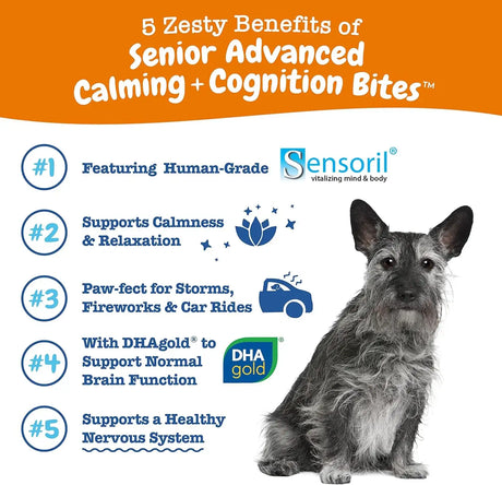 ZESTY PAWS - Zesty Paws Senior Advanced Calming & Cognition Soft Chews for Dogs 90 Masticables - The Red Vitamin MX - Relajantes Para Perros - {{ shop.shopifyCountryName }}