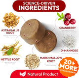 PETSOLOGY - Petsology Dog UTI Treatment Cranberry Chews 170 Masticables - The Red Vitamin MX - Salud De Tracto Urinario Para Perros - {{ shop.shopifyCountryName }}