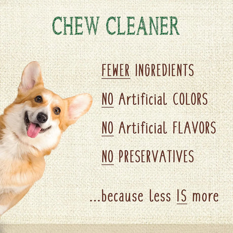 NYLABONE - Nylabone Nutri Dent Dog Dental Chews Mini 78 Piezas - The Red Vitamin MX - Cuidado Dental Para Perros - {{ shop.shopifyCountryName }}