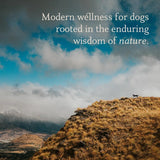 MANUKA - Manuka Dog Ear Cleaner Wipes 50 Toallitas - The Red Vitamin MX - Cuidado Del Oído De Perros - {{ shop.shopifyCountryName }}