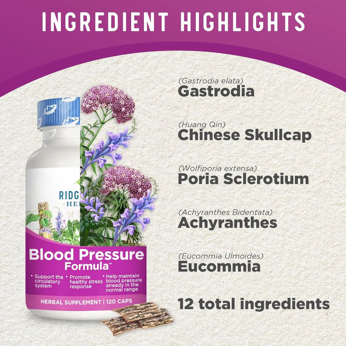 RIDGECREST HERBALS - RidgeCrest Herbals Blood Pressure Herbal Formula 120 Capsulas - The Red Vitamin MX - Suplementos Alimenticios - {{ shop.shopifyCountryName }}