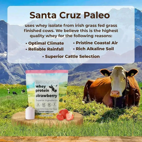 SANTA CRUZ PALEO - Santa Cruz Paleo Whey Protein Powder Grass Fed 20 Servicios Strawberry 538Gr. - The Red Vitamin MX - Suplementos Alimenticios - {{ shop.shopifyCountryName }}