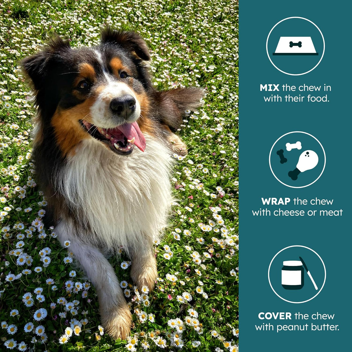 PetHeal Cancer Care Chews for Dogs Pork Flavor 30 Masticables