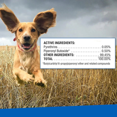 ADAMS - Adams Ear Mite Treatment For Dogs and Cats Over 12 Weeks .5 Fl.Oz. - The Red Vitamin MX - Cuidado Del Oído De Perros - {{ shop.shopifyCountryName }}