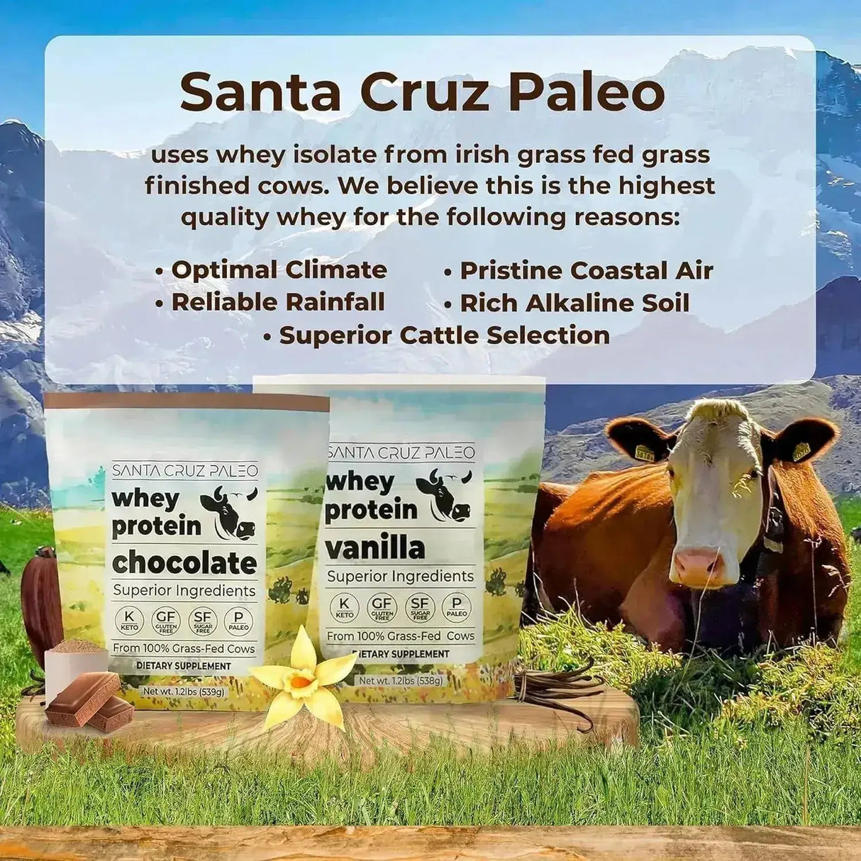 SANTA CRUZ PALEO - Santa Cruz Paleo Whey Protein Powder Grass Fed 20 Servicios Chocolate 539Gr. - The Red Vitamin MX - Suplementos Alimenticios - {{ shop.shopifyCountryName }}