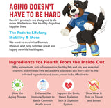 Bernie's Marvelous Mobility Daily Total Joint Support for Dogs 90 Masticables