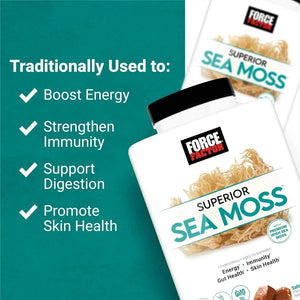 FORCE FACTOR - FORCE FACTOR Superior Sea Moss Salted Caramel Flavor 60 Masticables - The Red Vitamin MX - Suplementos Alimenticios - {{ shop.shopifyCountryName }}