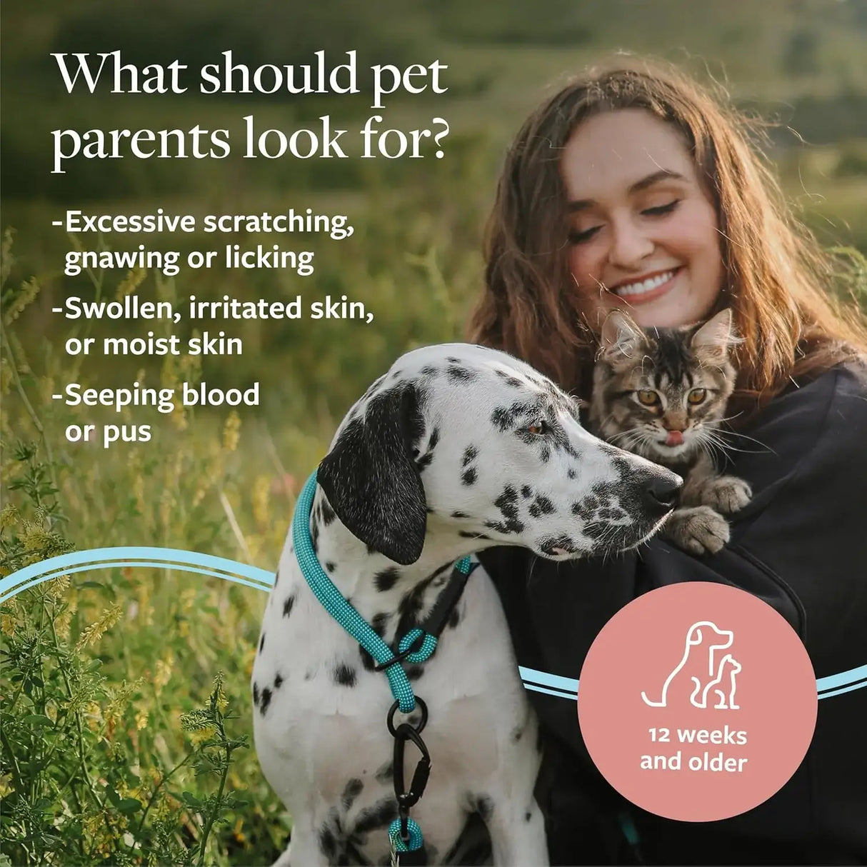 VETERINARY FORMULA - Veterinary Formula Clinical Care Hot Spot & Itch Relief Medicated Shampoo for Dogs and Cats 16 Fl.Oz. 2 Pack - The Red Vitamin MX - Remedios Para La Picazón De Perros - {{ shop.shopifyCountryName }}