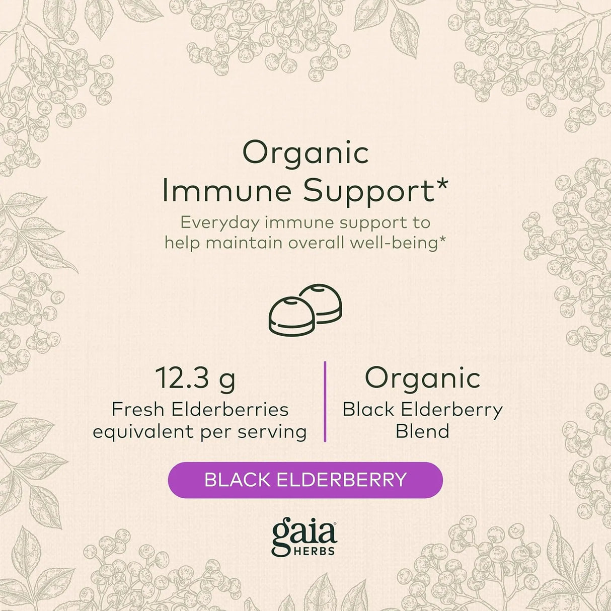 GAIA HERBS - Gaia Herbs Black Elderberry Sambucus Nigra Extra Strength Gummies 120 Gomitas - The Red Vitamin MX - Suplementos Alimenticios - {{ shop.shopifyCountryName }}