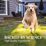 NUTRAMAX - Nutramax Laboratories Crananidin Cranberry Extract Urinary Tract Health Supplement for Dogs 75 Tabletas Masticables - The Red Vitamin MX - Salud De Tracto Urinario Para Perros - {{ shop.shopifyCountryName }}