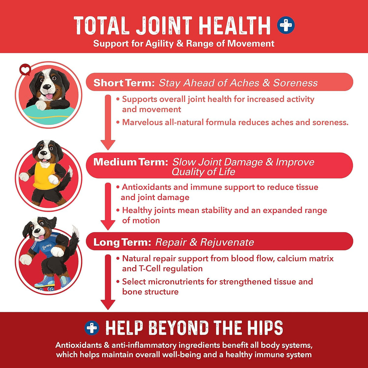 Bernie's Marvelous Mobility Daily Total Joint Support for Dogs 90 Masticables