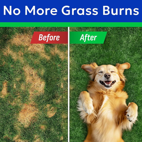 BARK&SPARK - BARK&SPARK Green Grass Chews 120 Masticables - The Red Vitamin MX - Salud De Tracto Urinario Para Perros - {{ shop.shopifyCountryName }}