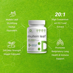 DEAL SUPPLEMENT - Deal Supplement Mullein Leaf Extract 20,000Mg. 240 Capsulas - The Red Vitamin MX - Suplementos Alimenticios - {{ shop.shopifyCountryName }}