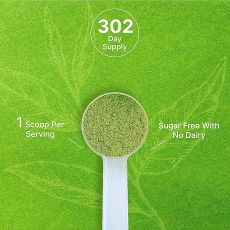 DEAL SUPPLEMENT - Deal Supplement Organic Matcha Green Tea Powder 907Gr. - The Red Vitamin MX - Suplementos Alimenticios - {{ shop.shopifyCountryName }}