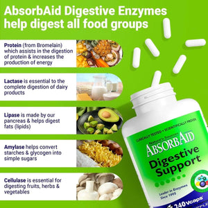 ABSORBAID - AbsorbAid Digestive Enzymes 240 Capsulas - The Red Vitamin MX - Suplementos Alimenticios - {{ shop.shopifyCountryName }}