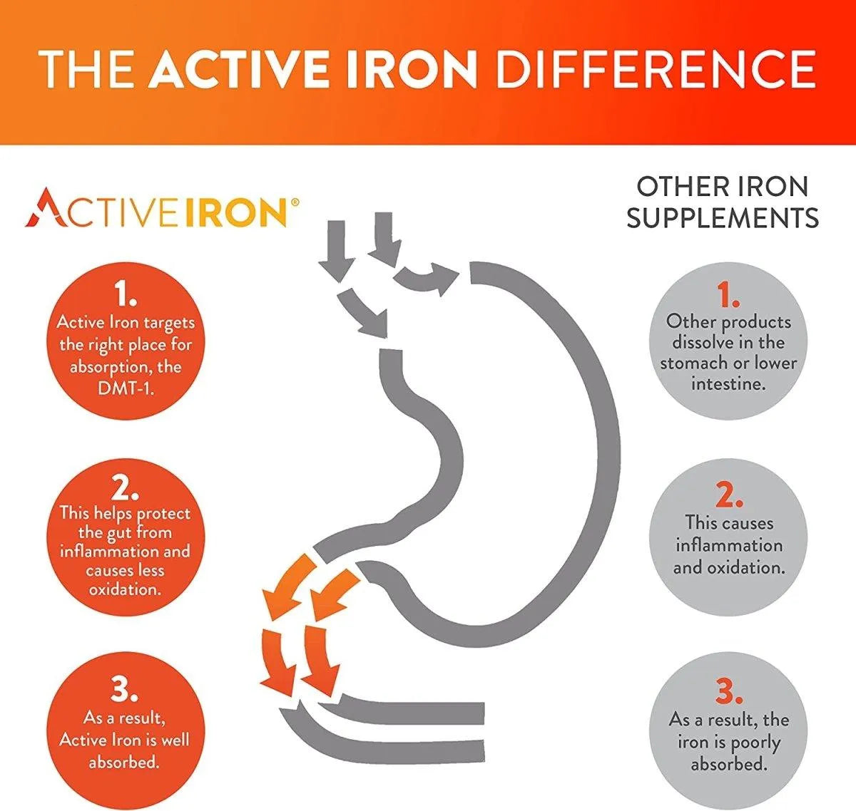 ACTIVE IRON - Active Iron High Potency Iron Supplement 25Mg. 60 Capsulas - The Red Vitamin MX - Suplementos Alimenticios - {{ shop.shopifyCountryName }}