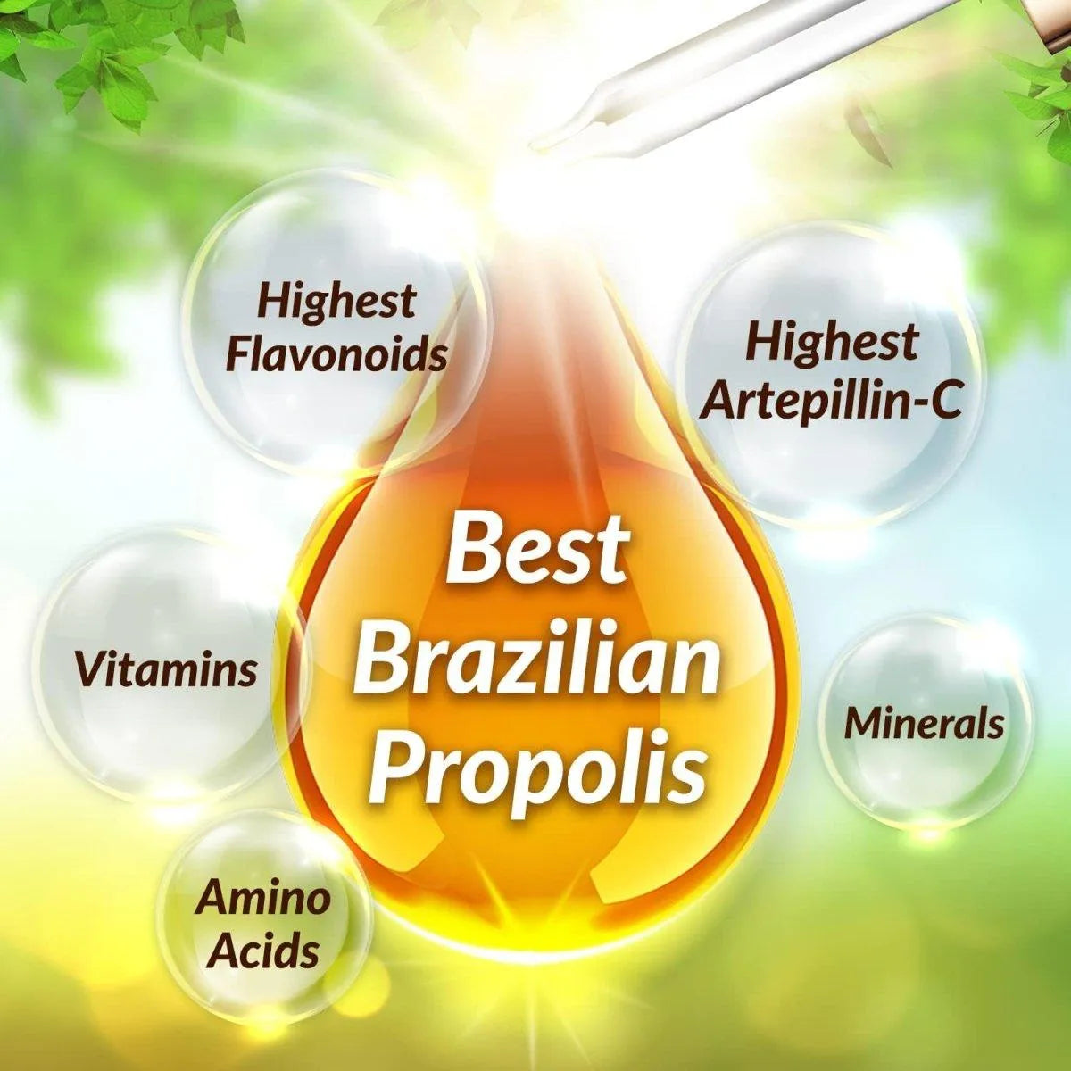 AFC - AFC Japan Brazilian Green Propolis Extract 30Ml. - The Red Vitamin MX - Suplementos Alimenticios - {{ shop.shopifyCountryName }}