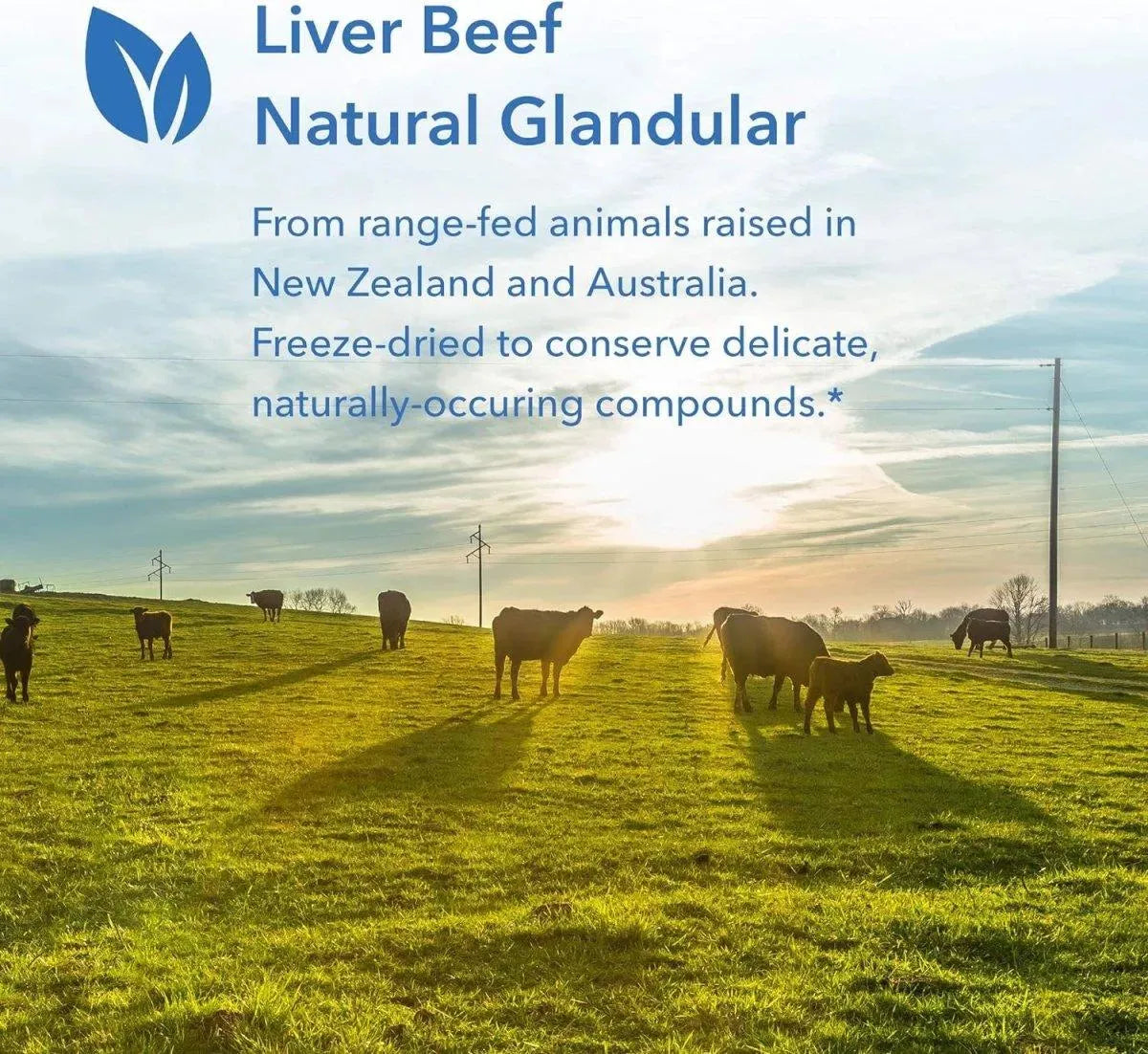 ALLERGY RESEARCH GROUP - Allergy Research Group Beef Liver 1000Mg. 125 Capsulas - The Red Vitamin MX - Suplementos Alimenticios - {{ shop.shopifyCountryName }}