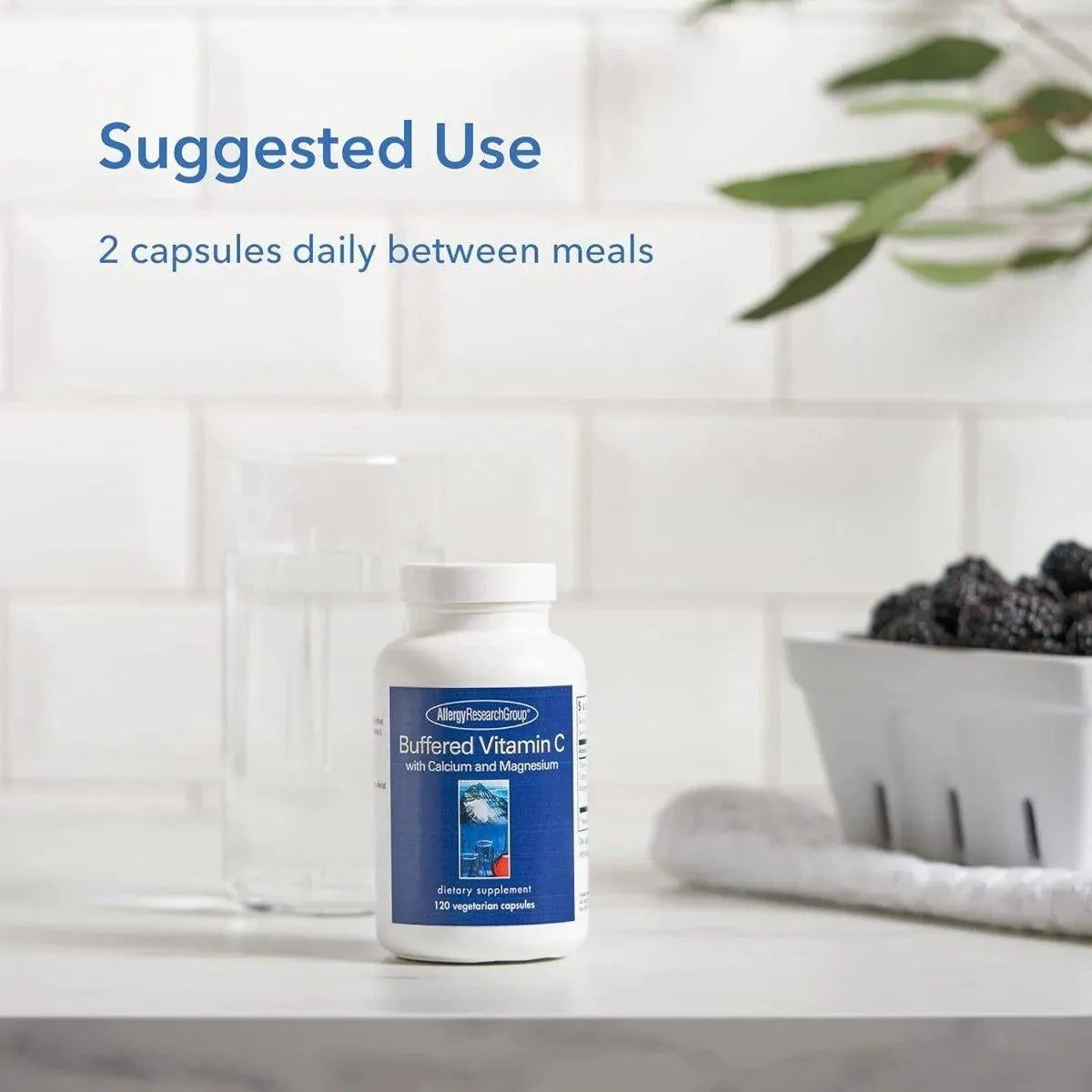 ALLERGY RESEARCH GROUP - Allergy Research Group Buffered Vitamin C 120 Capsulas - The Red Vitamin MX - Suplementos Alimenticios - {{ shop.shopifyCountryName }}