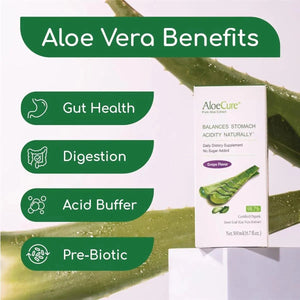 ALOECURE - AloeCure USDA Organic Aloe Vera Juice Grape Flavor 500Ml. 2 Pack - The Red Vitamin MX - Suplementos Alimenticios - {{ shop.shopifyCountryName }}