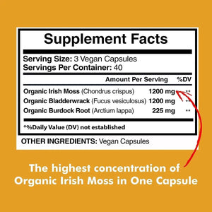 AMERICAN STANDARD SUPPLEMENTS - American Standard Supplements Organic Sea Moss 2625Mg. 120 Capsulas - The Red Vitamin MX - Suplementos Alimenticios - {{ shop.shopifyCountryName }}