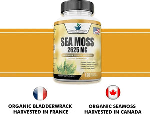 AMERICAN STANDARD SUPPLEMENTS - American Standard Supplements Organic Sea Moss 2625Mg. 120 Capsulas - The Red Vitamin MX - Suplementos Alimenticios - {{ shop.shopifyCountryName }}