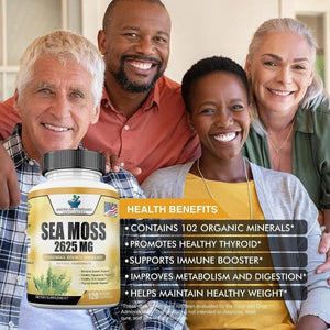 AMERICAN STANDARD SUPPLEMENTS - American Standard Supplements Organic Sea Moss 2625Mg. 120 Capsulas - The Red Vitamin MX - Suplementos Alimenticios - {{ shop.shopifyCountryName }}