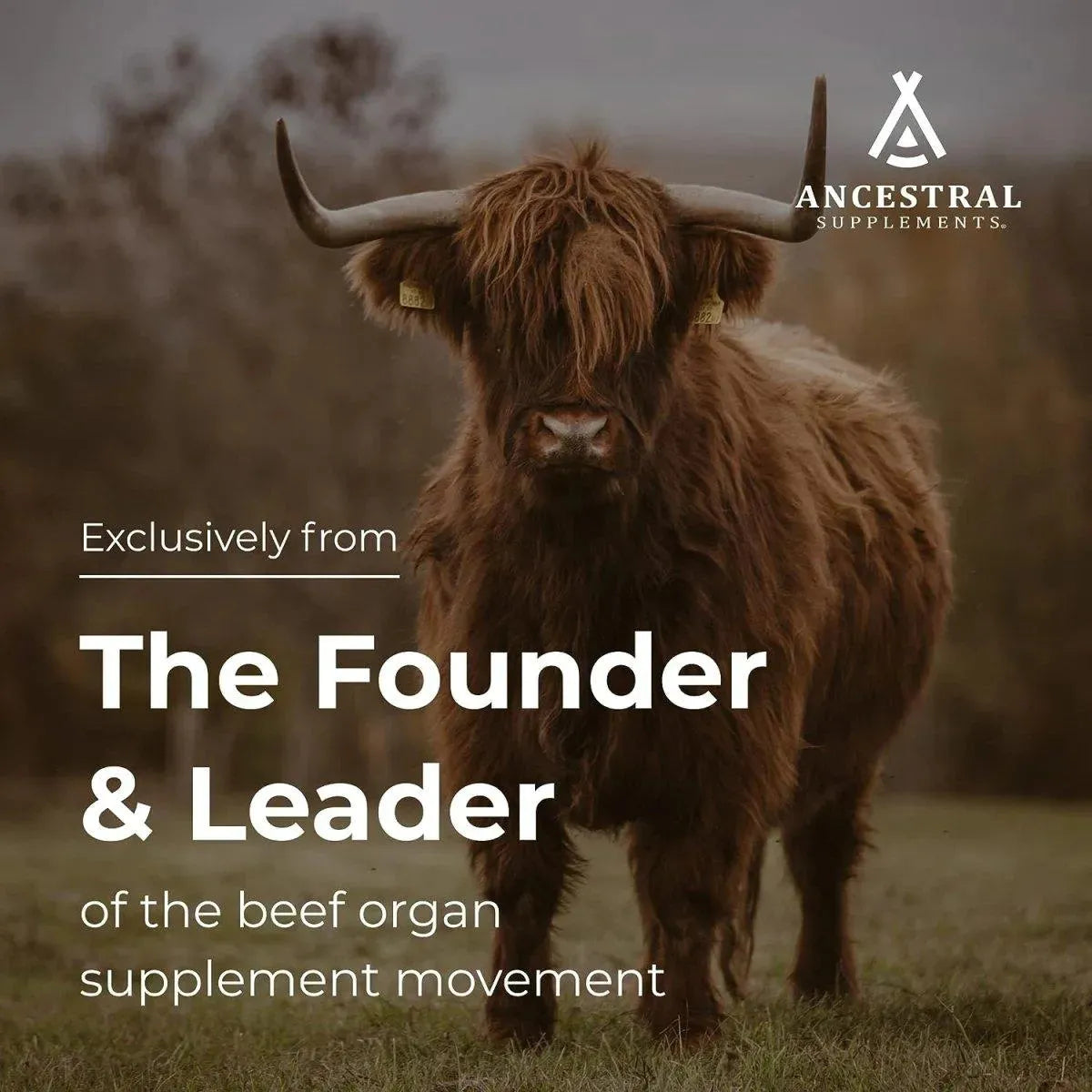 ANCESTRAL SUPPLEMENTS - Ancestral Supplements Grass Fed Beef Brain with Beef Liver 180 Capsulas - The Red Vitamin MX - Suplementos Alimenticios - {{ shop.shopifyCountryName }}