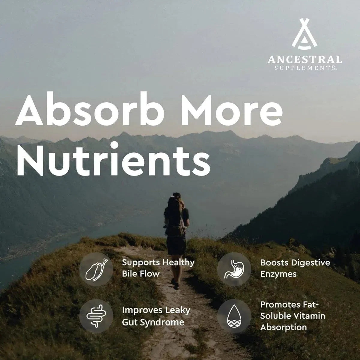 ANCESTRAL SUPPLEMENTS - Ancestral Supplements Grass Fed Beef Gallbladder with Ox Bile and Liver 180 Capsulas - The Red Vitamin MX - Suplementos Alimenticios - {{ shop.shopifyCountryName }}