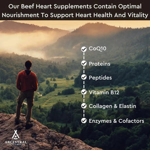 ANCESTRAL SUPPLEMENTS - Ancestral Supplements Grass Fed Beef Heart 180 Capsulas - The Red Vitamin MX - Suplementos Alimenticios - {{ shop.shopifyCountryName }}